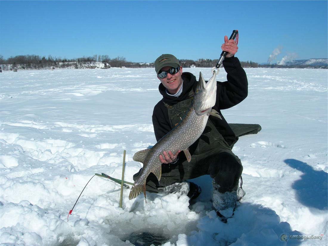 Какое давление лучше для рыбалки зимой на щуку?